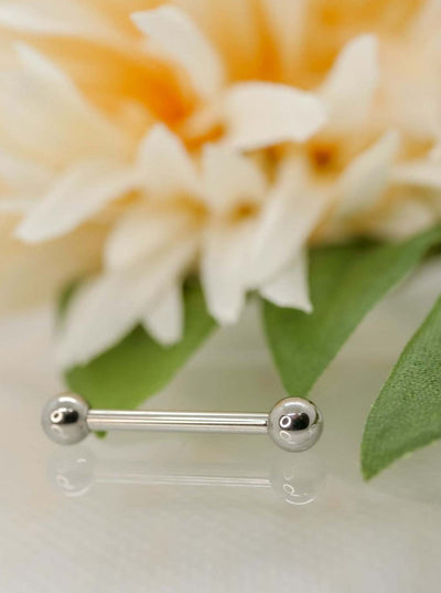 basic titanium straight barbell for nipples and industrials