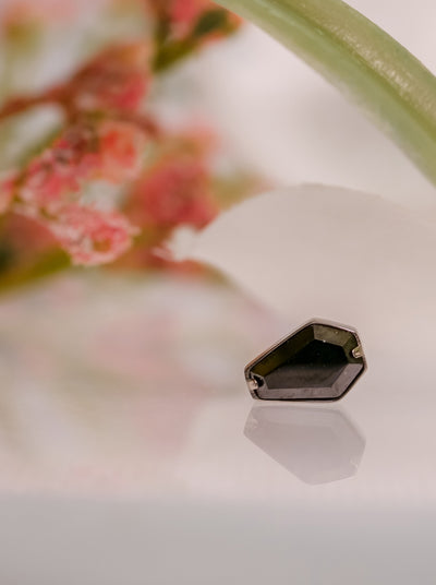 sppoky black gem stone in the shape of a coffin 
