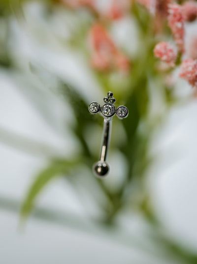 3 bezel set cubic zirconia topped with titanium tri-bead. Curved barbell 5/16" for rook piercing