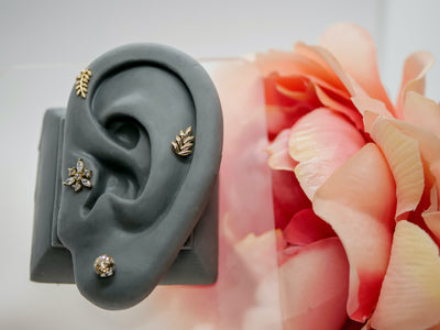 ear lobe piercing with champagne prong set 