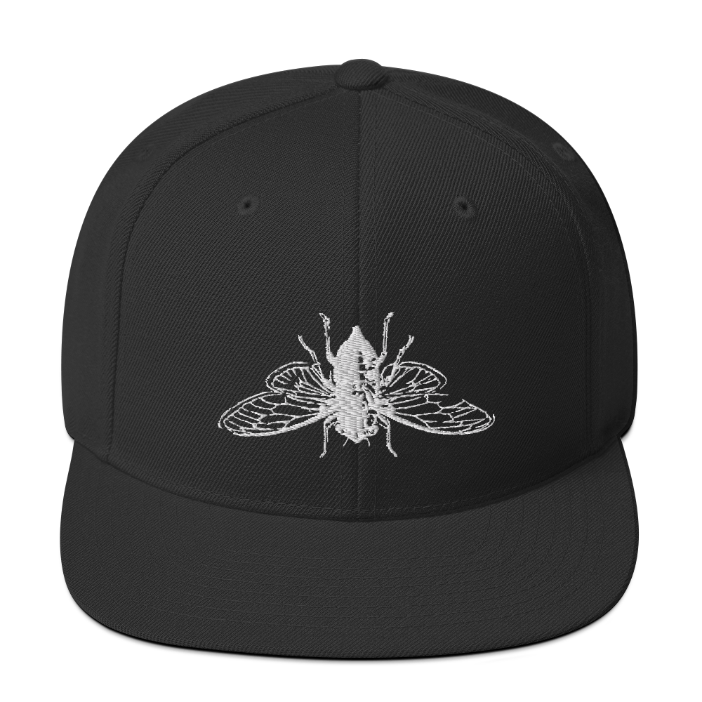 Cicada logo black hat
